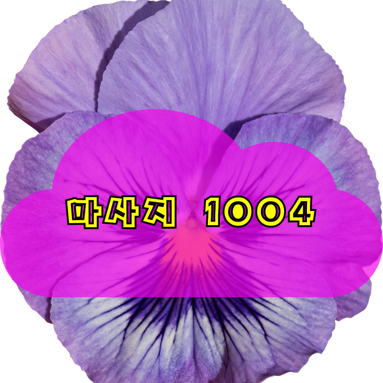 양재동 건마천사 지역 안내